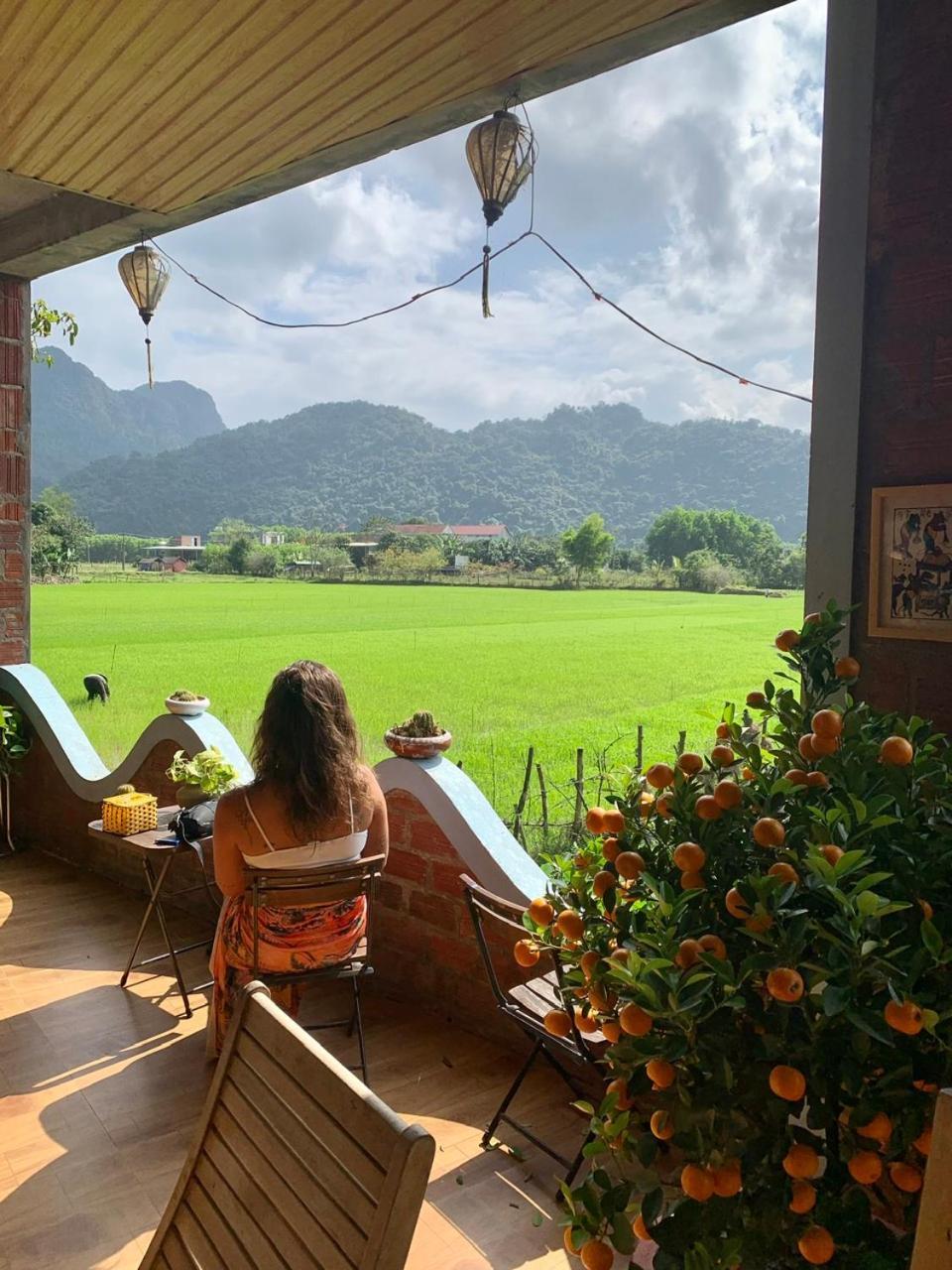 An An Homestay Bungalow Phong Nha Exterior photo
